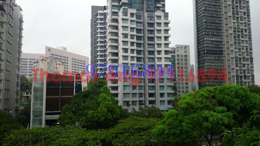 Mulberry Tree (D11), Apartment #89391692